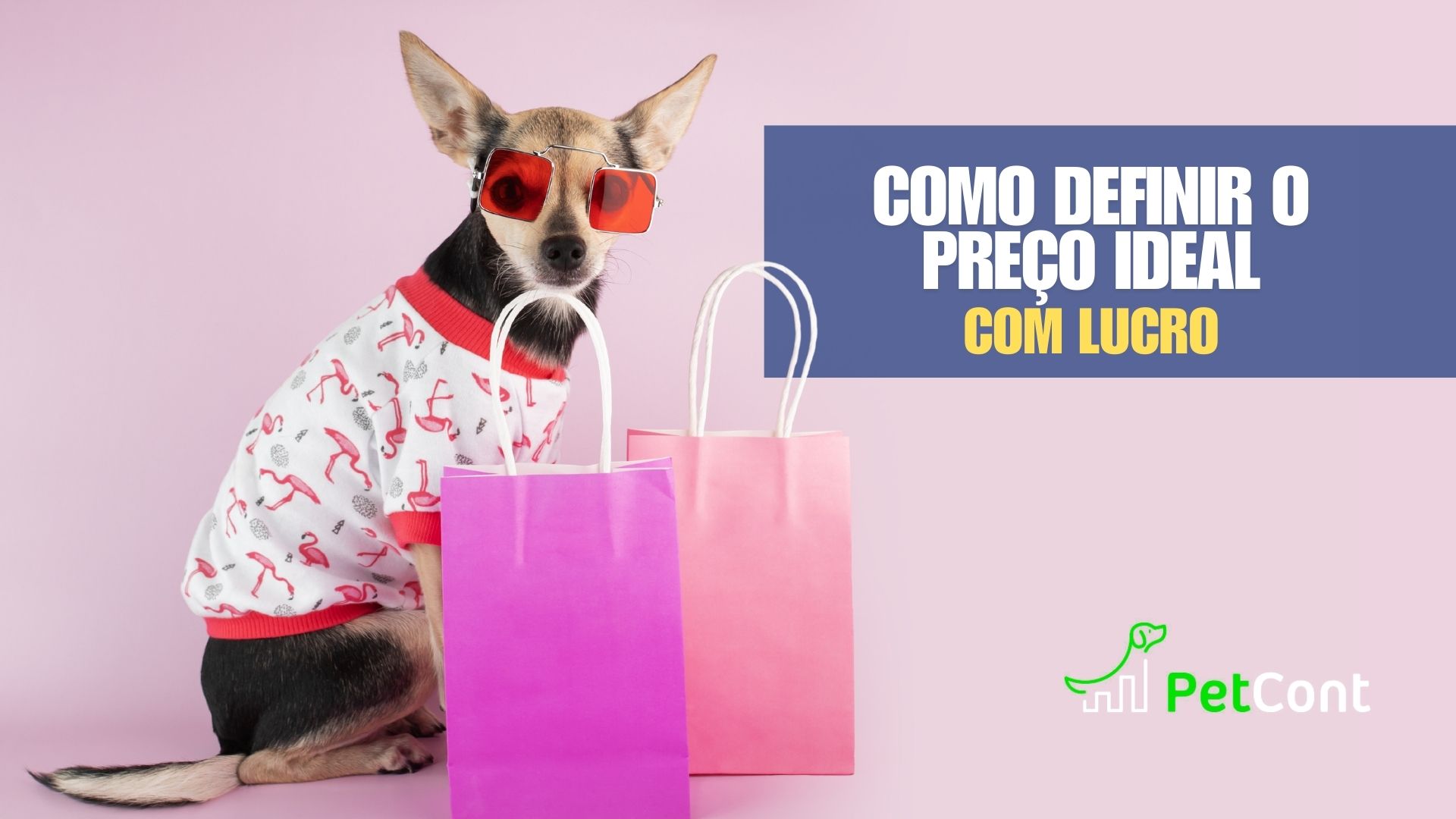 Preço Ideal de produtos para Pet Shops